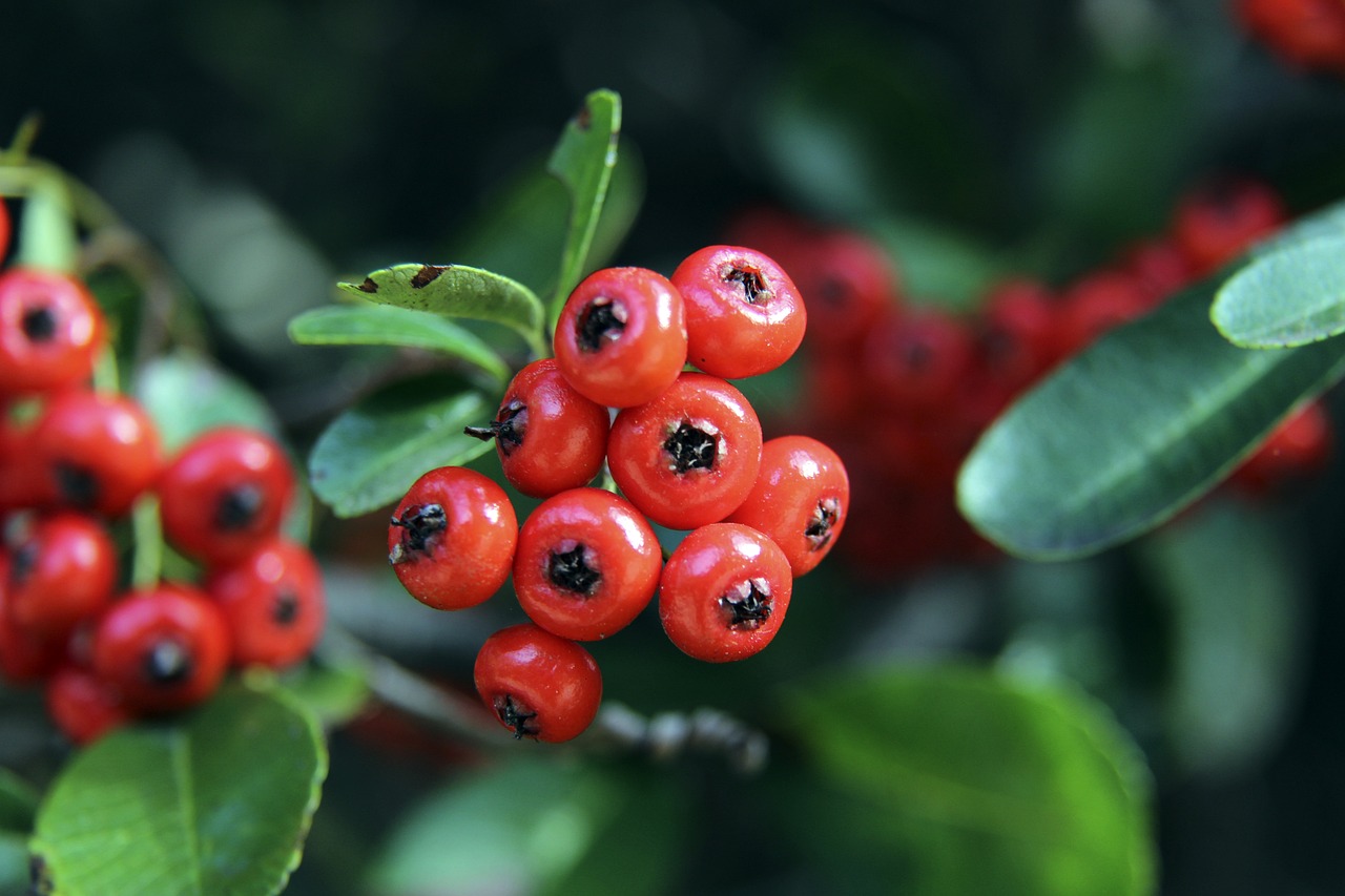 的竞争正处 的竞争正处