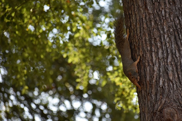 锋线主力出 锋线主力出