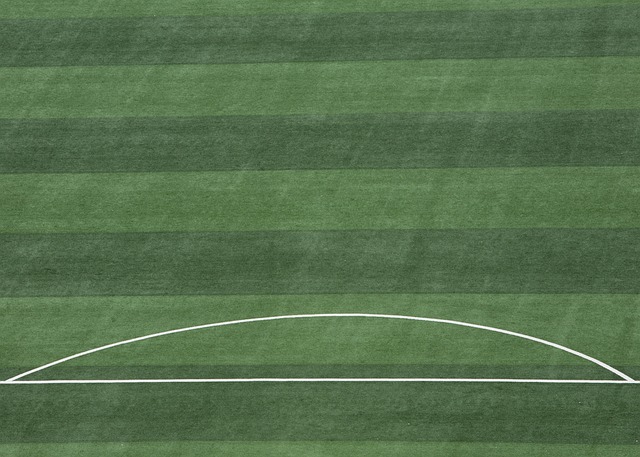 B费可以推 B费可以推