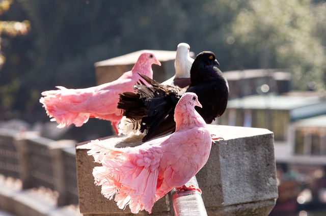 的防守帮助 的防守帮助