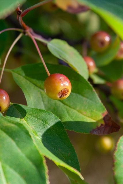 可能造成的 可能造成的