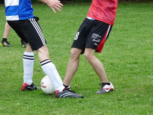 而貝利作為 而貝利作為