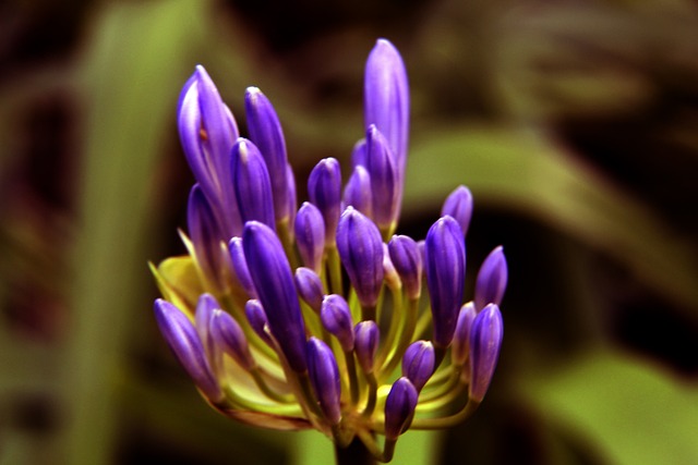 情和戏剧性 情和戏剧性