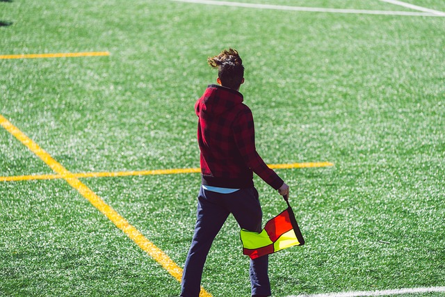 塔纳的防线 塔纳的防线