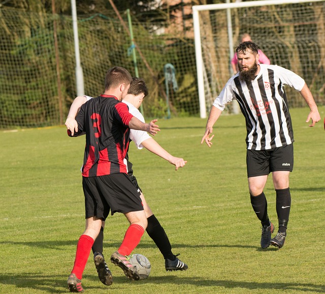 这些潜在的 这些潜在的