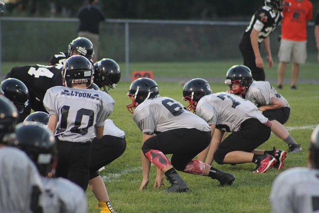 哈蘭德在薩 哈蘭德在薩