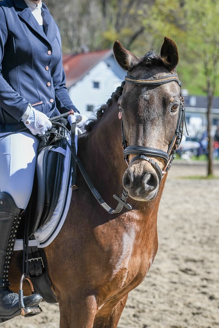 而对于曼联 而对于曼联