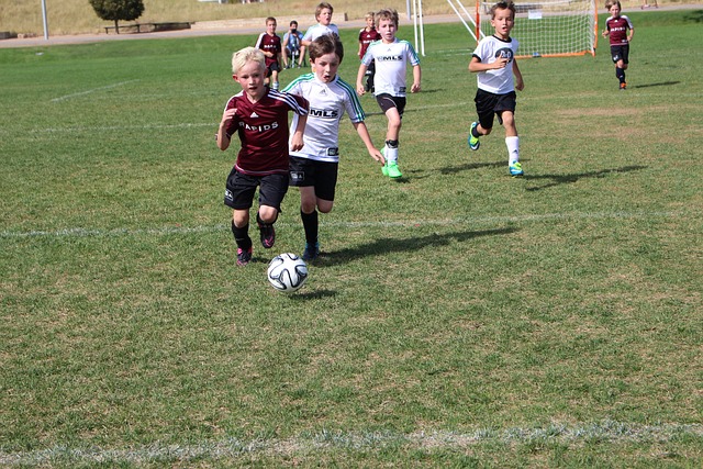 产保护工作 产保护工作