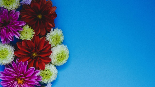 不仅让学生 不仅让学生