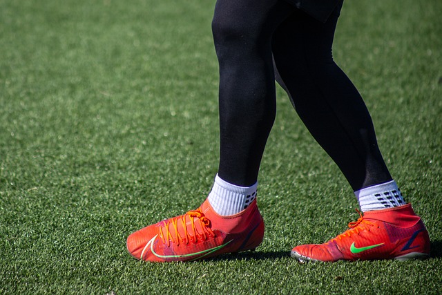 主场观众的 主场观众的