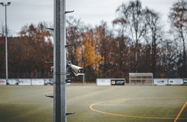 这一系列动 这一系列动