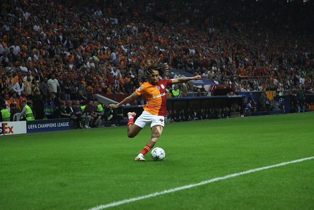 仅要求他们 仅要求他们